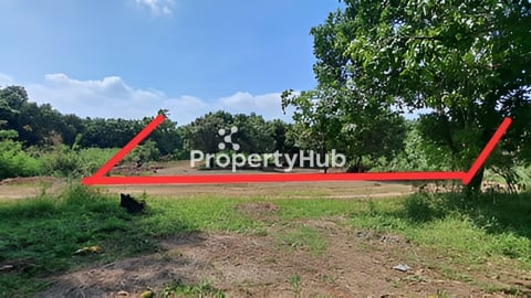 ដីលក់នៅក្រុងអរិយក្សត្រ (ម្ចាស់ផ្ទាល់)