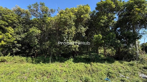 ដីលក់ជាប់ផ្លូវ380 15m x 60m