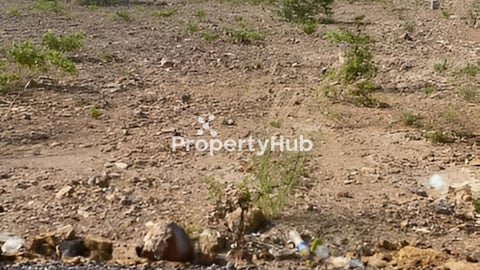 លក់ប្រញាប់/Urgent sale