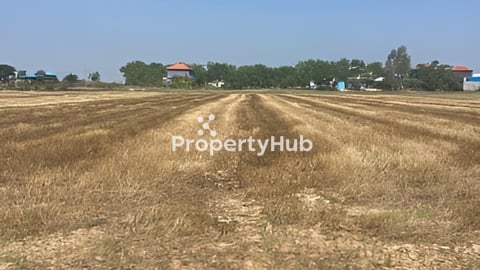 លក់បន្ទាន់