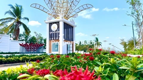 Land Discount 30%for sale