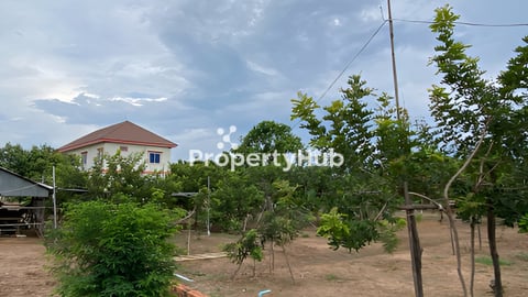 ដីលក់ទំហំ 25,000 m2 មានដំនាំហូបផ្លែច្រើន ពិសេសដើមមៀនប្រភេទសាច់ល្អៗ
