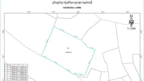 ដីលក់បន្ទាន់នៅកំពង់ស្ពឺ