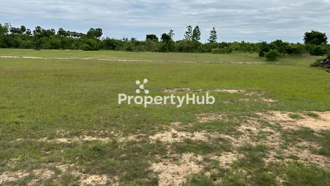 ដីលក់ប្លង់រឹង