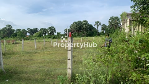 ដីលក់មានប្លង់រឹង (ម្ចាស់ផ្ទាល់)