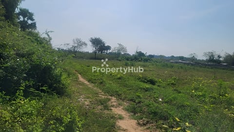 ដីលក់បន្ទាន់