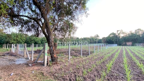ដីលក់អរិយក្សត្រ ទំហំ 11m x 65m