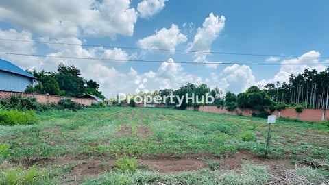 34m×79m 42000 1km ពីផ្សារជាច