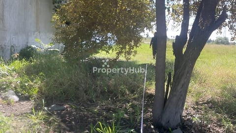 ដីលក់បន្ទាន់​ជាប់លេីផ្លូវ42 (6m x 25m)