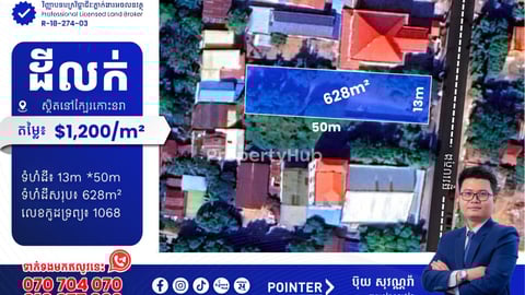 ដីលក់នៅជិតកោះនរា