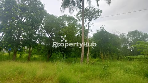 ដីសម្រាប់លក់ នៅជិតសាលាបឋមសិក្សាវាលធំ រោងចក្រកែច្ឆៃផ្លៃឈើ និងទឹកធ្លាក់៩ជាន់