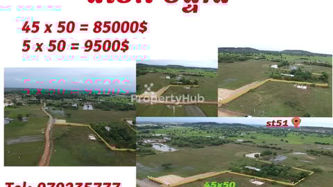 ដីលក់បន្ទាន់ខាងលិច51