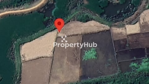 ដីចម្ការលក់ ខេត្តកណ្តាល