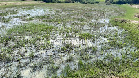 ក្បាលដីជាប់លើផ្លូវលេខ ១៣៥ ប្រវែង 146ម៉ែត្រ