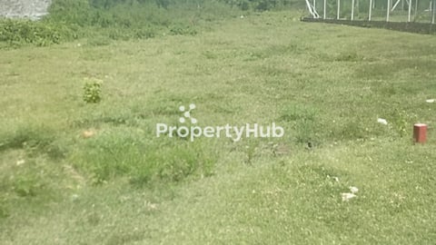 ដីលក់បន្ទាន់ ដីម្ចាស់ដើមផ្ទាល់