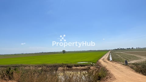 ដីកែងបន្ទាន់នៅបាធាយ