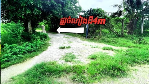 ដីភូមិខេត្តបាត់ដំបង ជិតក្រុង ប្រជាជនរស់នៅអ៊ូអរ មានប្រព័ន្ធទឹកភ្លើងរដ្ធ