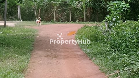 ដីជាប់ផ្លូវខេត្តកំពត