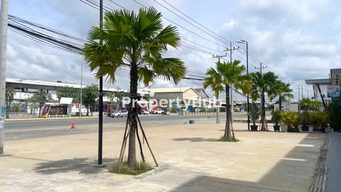 ផ្ទះជួលនៅបុរីកាំងម៉េង