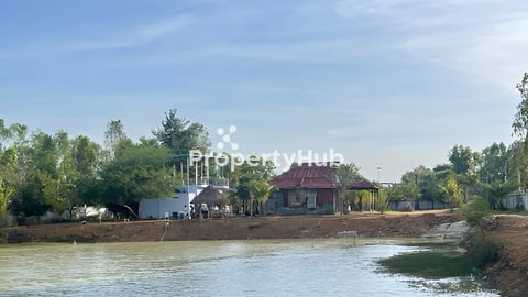 ដីលំហែរលក់នឹងជួលមួយម៉ែតការេ99$