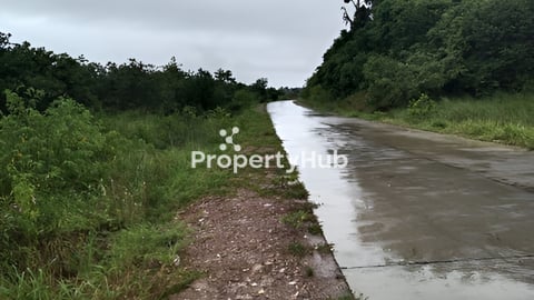 ដីលក់ ជាប់ផ្លូវបេតុង ខ្នងភ្នំគូលេន