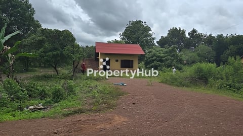 急售土地1.5公顷，价格低于市场价1平方米25美元，硬产权