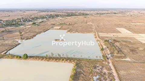 ដីលក់បន្ទាន់ខ្លាំង