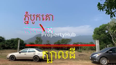 ដីក្នុងក្រុងកំពត ក្បែររីស៊ត 24m x 27m