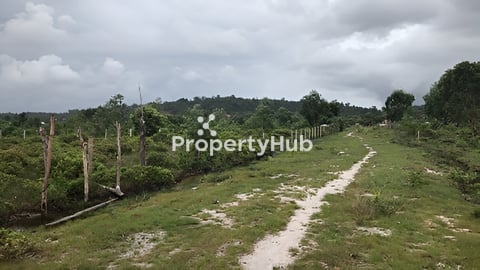 ដីលក់នៅរាម ព្រៃនប់