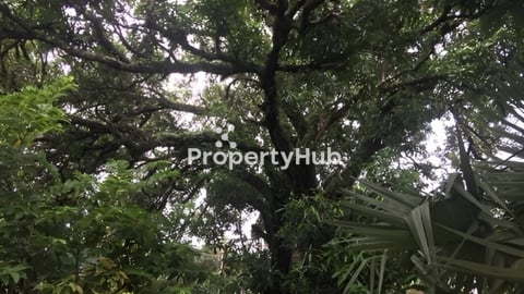 ​ Land and house for sale in Kep Province