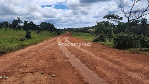 ដីលក់បន្ទាន់លុយខ្លាំង