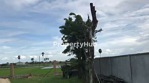 ដីផ្លង់រឹងនឹងផ្លង់ផ្ទះវិឡាផ្លូវរដ្ធគម្រោង១២ម៉ែត្រក្បាលដី16.80បណ្តោយ៥១ម៉ែត្រមា ទឹកនឹងភ្លើង