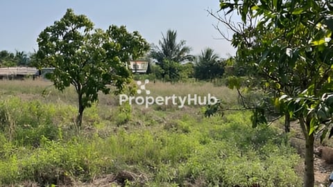 20x20 ដីចំការ