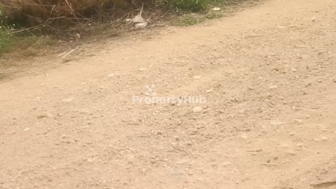 ដីលក់: 15m x 88m (ក្នុងក្រុងអរិយក្សត្រ)