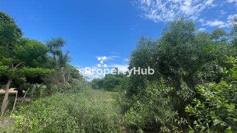 ដីធំ​ សាកសមសម្រាប់កសាងផ្ទះលំហែកណ្តាលក្រុង