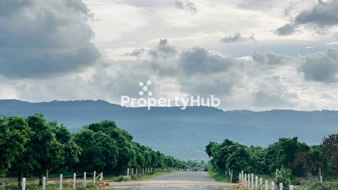 ដីលំហែរស្រស់ស្អាត