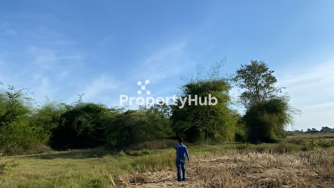 ដីលក់ខាត់