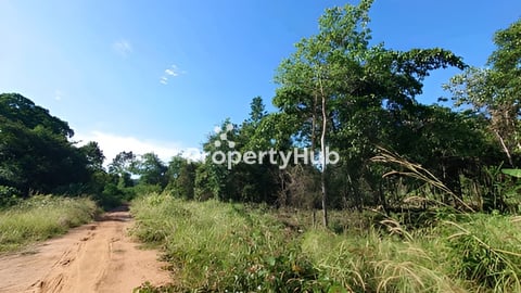 🌴 Beautiful Land for Sale in Chi Phat, Koh Kong Province! 🌴