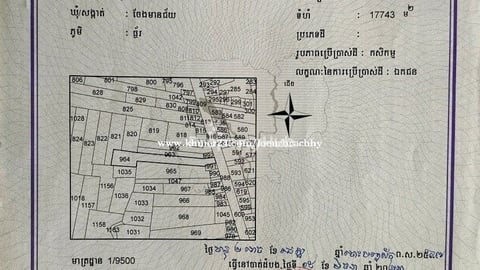 ដីចំការលក់ ជាប់ថ្នល់កៅស៊ូ