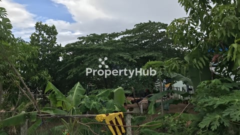 ដីលក់ក្រោយភ្នំឧដុង្គ​ ក្បែរក្រុងឧដុង្គម៉ែជ័យ​ តម្លៃលក់បន្ទាន់$14999