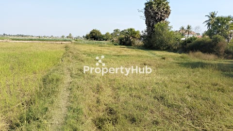 ដីស្រែក្បែរផ្លូវជាតិលេខ៦