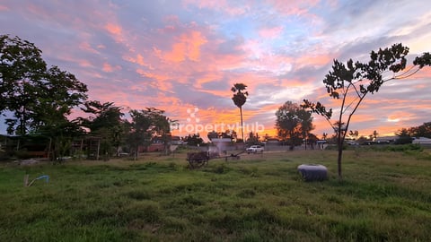 ដីលក់ ក្បែរផ្សារថ្នល់ទទឹង ទំហំ (1 ហិចតា )