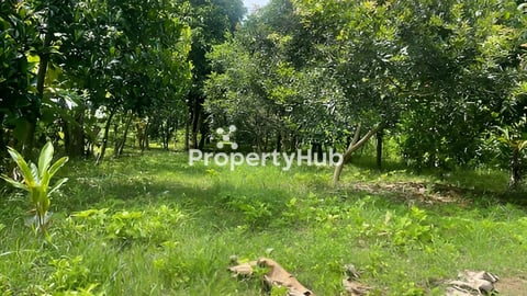 ដីនៅក្នុងក្រុងអរិយក្សត្រ លក់ក្រោមទីផ្សារ 30/: