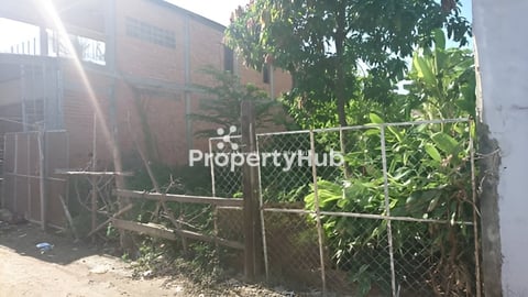 ដីលក់ឬជួល នៅពោចិនតុង (ម្ចាស់ដើមផ្ទាល់) / land for sale