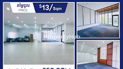 ការិយាល៍យជួល មានខណ្ឌបន្ទប់ដេគរ័ស្រាប់នៅបឹងកេងកង  Bkk1 have partition office for 