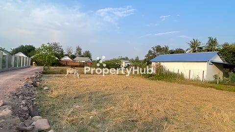 កំពតដីលក់បន្ទាន់