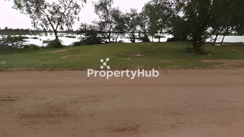 ដីលក់ តាមផ្លូវទៅរម្មណីយដ្ឋាន ត្នោតទេ