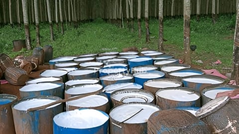 មានទទួលរៀបចំដីកសិកម្មខ្នាតធំ។