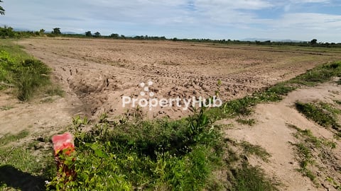 ដីលក់កំពង់ស្ពឺ3ហិកតា 16គីឡូពីផ្លូវជាតិលេខ៤,(ផ្សារត្រពាំងក្រឡឹង)