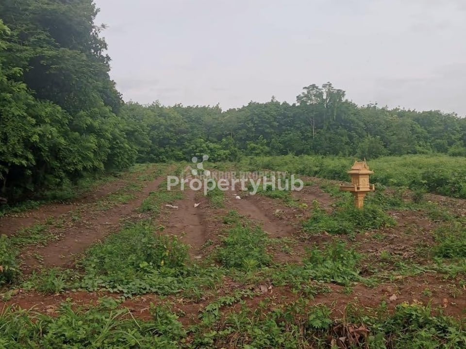 Property 4
